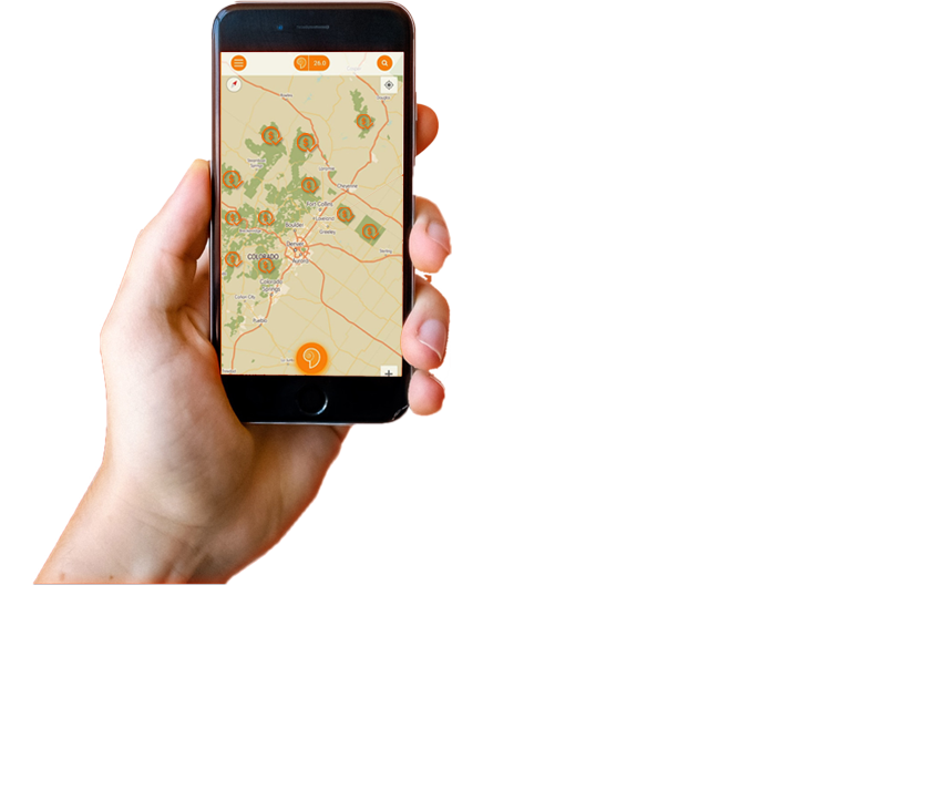 perspective phone